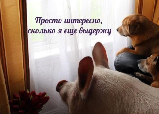 Налоговая планирует ввести автоматический контроль доходов россиян выше 2,4 миллиона рублей в год.Данные изменения содержатся во внесённом на этой неделе в Госдуму пакете законопроектов, подготовленных в рамках плана по «обелению экономики». В частности, в