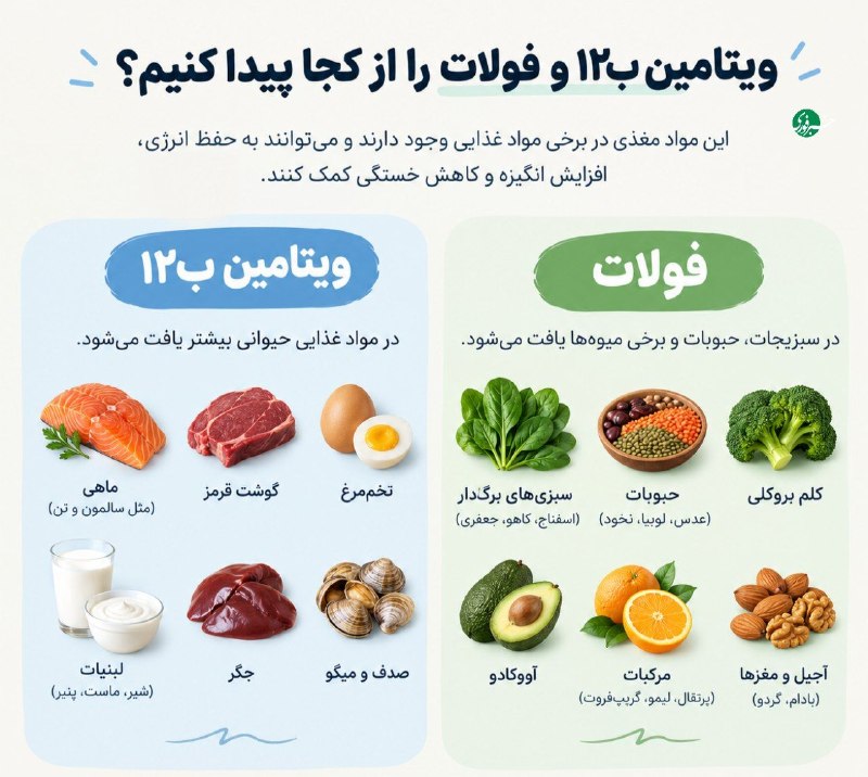 کمبود کدام ویتامین‌ها موجب کاهش انگیزه می‌شوند؟ — اخبار فوری