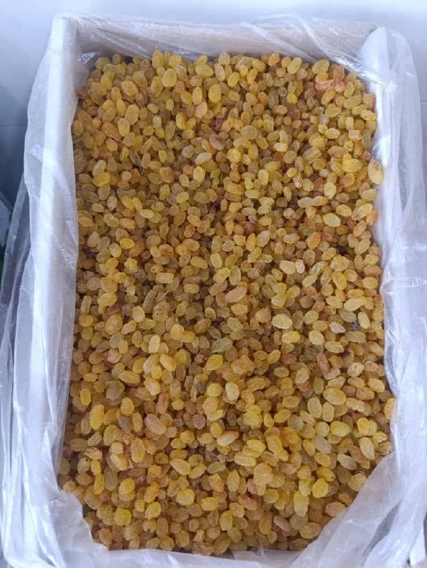 خشکبار آوا: 🍇 کشمش گلدن ملایر 📞 09354005159 🆔 @avanuts 👈تلگرام🆔 @avakhoshkbar 👈ایتا و بله🎇 www.instagram.com/avagostaran🌐 www.avanut