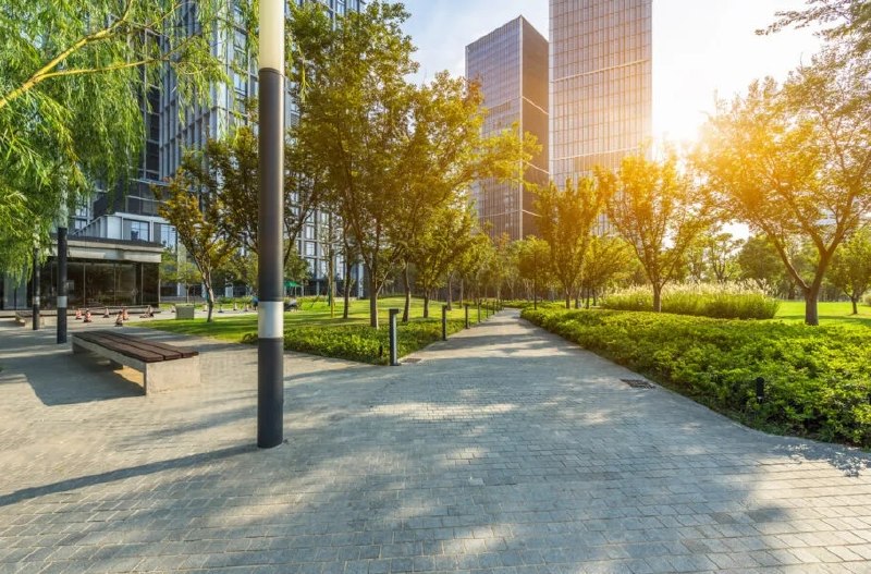 Digiato | دیجیاتو: 🌳پژوهش جدید: برخی درختان با افزایش دما، کیفیت هوای شهر را بدتر میکنند🔹 پژوهشگران دریافتند همزمان با گرمتر شدن اقلیم،