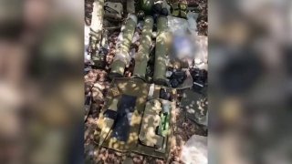 צפו בתיעודים: