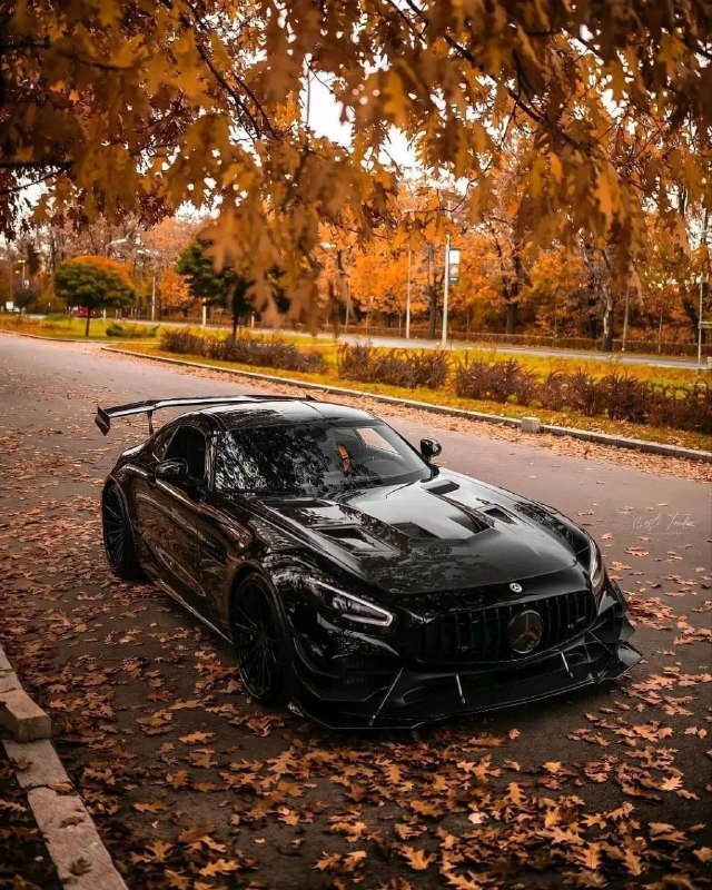 Mercedes-AMG GTR PRO 5