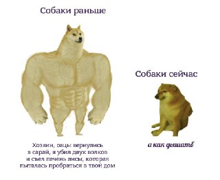 Специалисты выявили 12 пород собак с дыхательными нарушениями, и это не только мопсы и бульдоги: https://lentach.media/XW21J