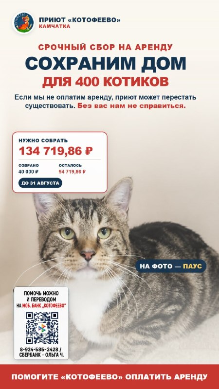 СРОЧНО СОБИРАЕМ НА АРЕНДУ «КОТОФЕЕВО»
На фотографии -...