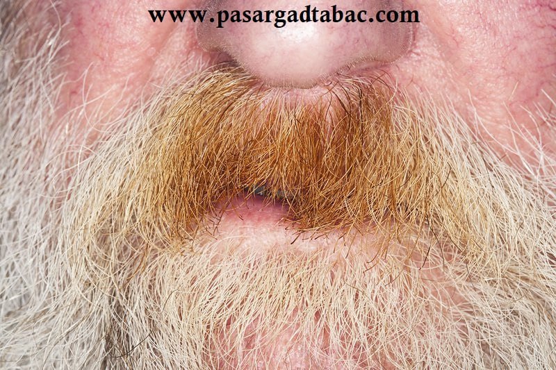 📖Pasargadtabac📖: 📜 پاسارگاد تاباک - مقالات تخصصی و آموزشی ماسترو رحیمی - استاد کامران➖➖➖➖➖➖➖➖➖➖➖➖➖➖➖➖➖➖➖➖➖📚چگونه زردی سبیل را از بین ببری