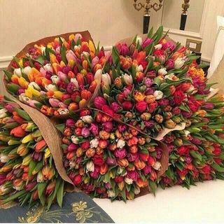 🌹🌹Гуллар олами🌹🌹