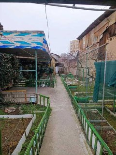 Участок 4 сотки ДУБОВАЯ,РУВД яшнабадское, метро Дустлик (Чкалова)