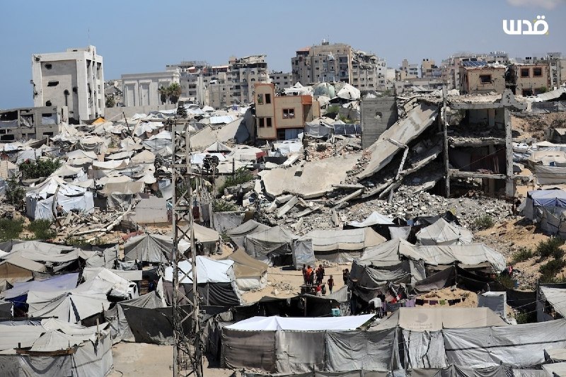 עקירה מתמשכת ותנאים קשים באוהלים ובקיץ... תמונות מהעיר עזה: