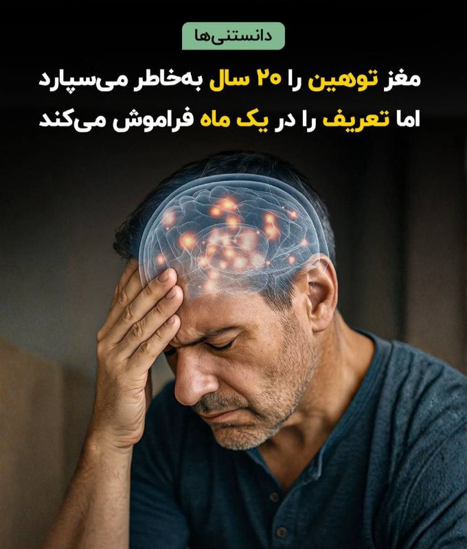 کانال سروشتی جوانرود: 🔻مغز توهین را ۲۰ سال بهخاطر میسپارد اما تعریف را در یک ماه فراموش میکند🔹دانشمندان علوم اعصاب میگویند مغز انسان طوری