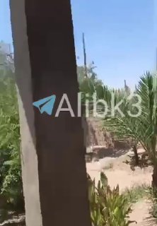 מזל"ט איראני יוצא לכיוון בסיסי הכיבוש באזור ונעשים ניסיונות להפילו.