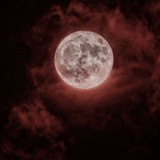 دفتران شب