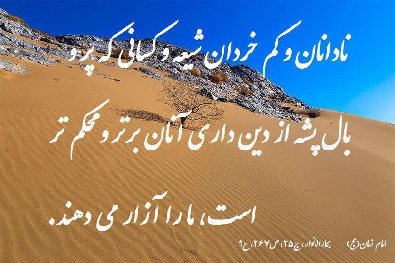 اتحادیه بقیة الله الاعظم (عج): ❗« نادانان و کم خردان شیعه و کسانی که پر و بال پشه از دین داری آنان برتر و محکم تر است، ما را آزار می دهند.»امام زمان(عج