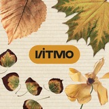 ITMO Staff Support