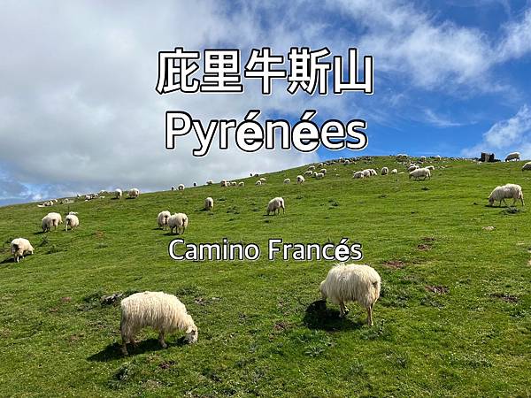 法國之路Day 1 庇里牛斯山的迷途羔羊