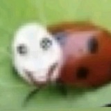Daily shit от Ирки [🍏]