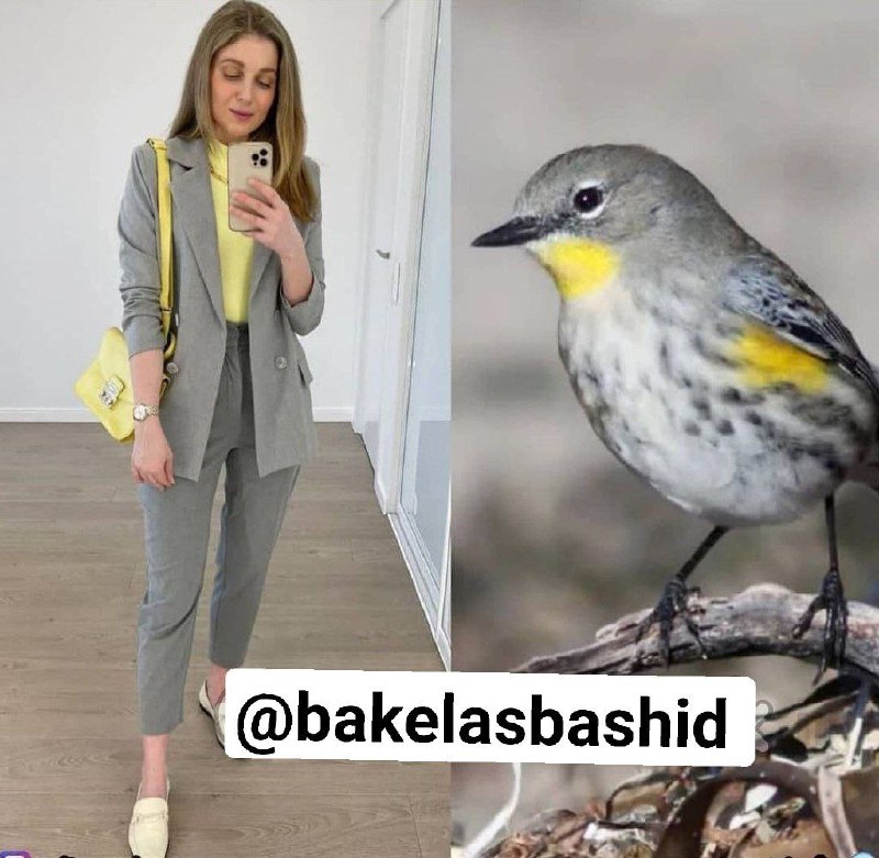 🔱 اصول باکلاس بودن 🔱: #استایل_گرافیاز ترکیب رنگ‌های طبیعت برای استایلت ایده بگیرقسمت چهارم @bakelasbashid 💟