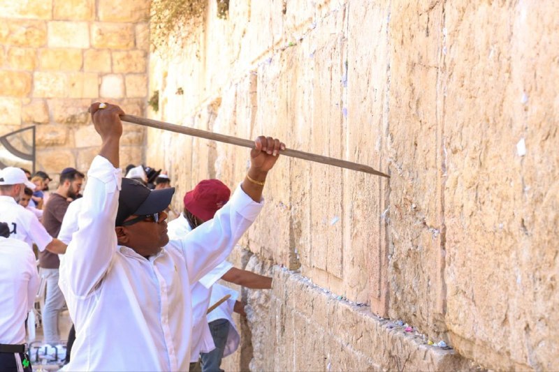 אלי הירשמן