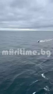 סירות הרובוטים שהטביעו את אוניית המכולות הבולגרית (אך תחת דגל ליבריה) "Contship Jet", המפליגה מחיפה לקונסטנ…