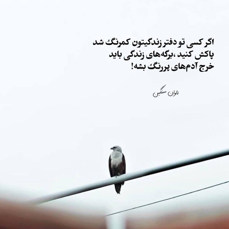 👑 شهر عکس 👑: 💜 @shahreeaks 💜