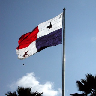 Panama Live