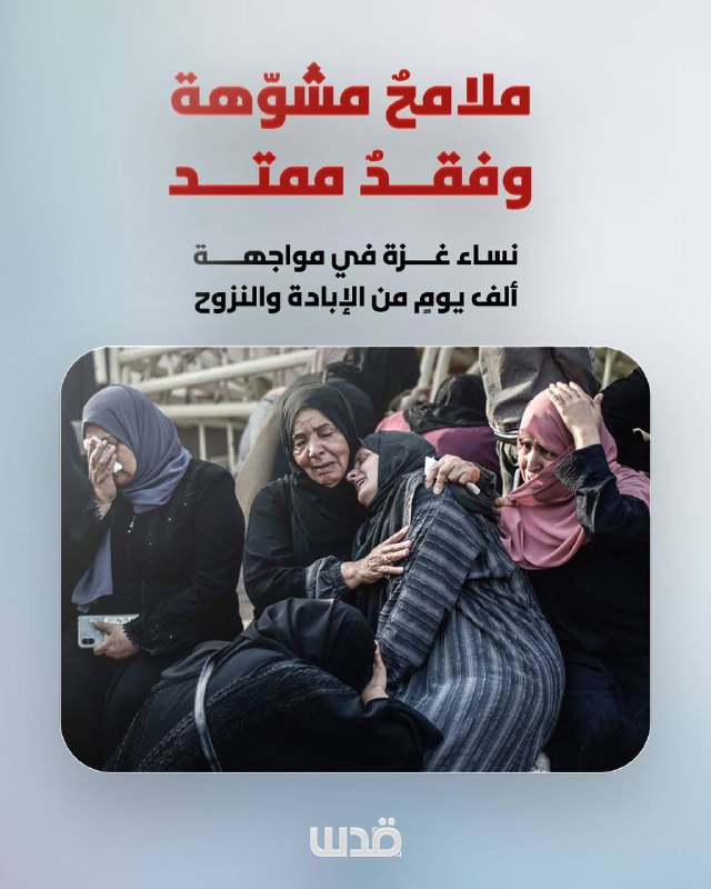 מאפיינים מעוותים ואובדן ממושך... נשות עזה מתמודדות עם אלף ימים של רצח עם ועקירה, בין אמהות שעזבו לבין משפחו…