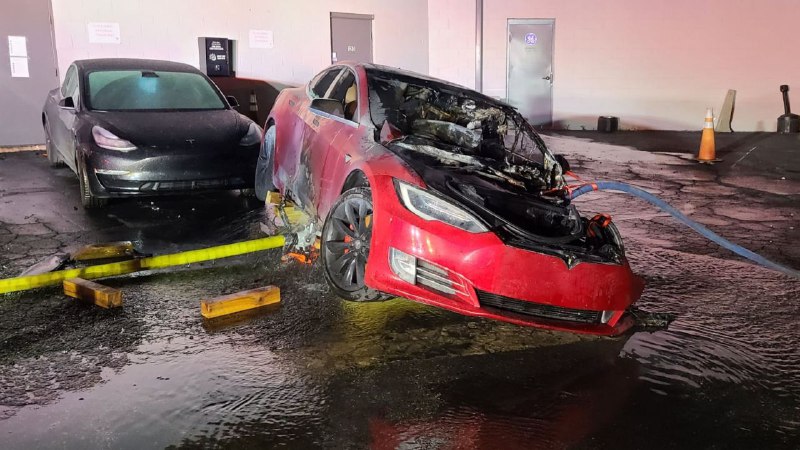 Правительство Китая приняло закон, положивший коне...