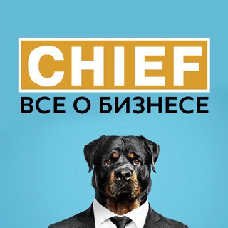 Telegram profile photo for CHIEF | Все о бизнесе