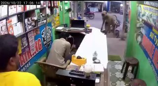 בהודו, קוף הגיע לבית המלאכה כדי לחבק שיפוצניק טלפונים. לפי התקשורת המקומית, האיש מאכיל את הפרימאט באופן קבו…