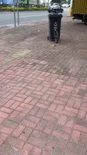 А на улицах китайских городов появились самодвижущиеся мусорки. 🤪