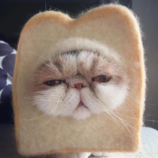 И смех и мех 🐾 Telegram channel profile photo