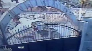 מתנחלים משליכים את האשפה שלהם על בית פלסטיני בכפר מאדאמה, דרומית לשכם.