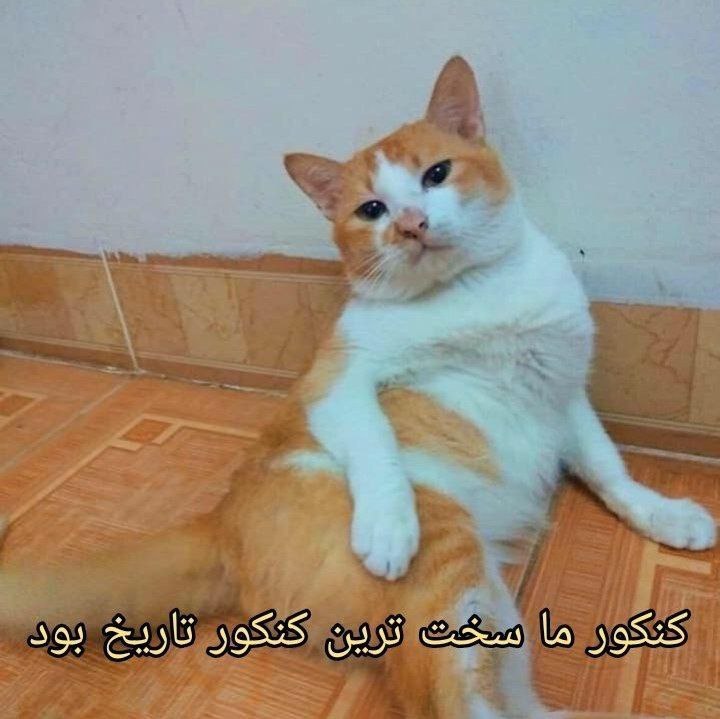 خنده پاره: هر ایرانی اینجوریه که: 🥳 JOIN🔜 @morisofi😂