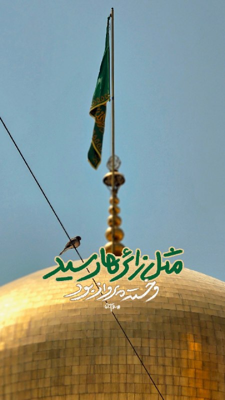 آستان مقدس رضوی: #سلام_آقا | دنیای کبوترای حرم✨مثل زائرها رسید و خسته از پرواز بودمحو و درگاه و حریم غرق در اعجاز بود📱مناسب برای استوری 🔁