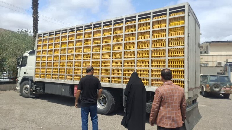 درفک خبر: 🐓کشف و توقیف ۸ تُن مرغ خارج از شبکه توزیع در شهرستان رودبار🔺در راستای اجرای مصوبات ستاد مبارزه با قاچاق کالا و ارز و با 
