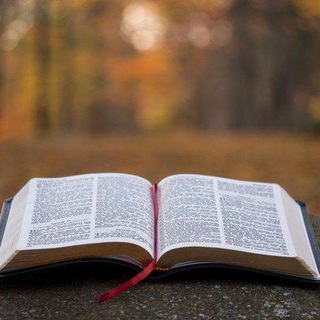 Bible study/ መጽሐፍ ቅዱስ ጥናት ✝ Telegram Group Link