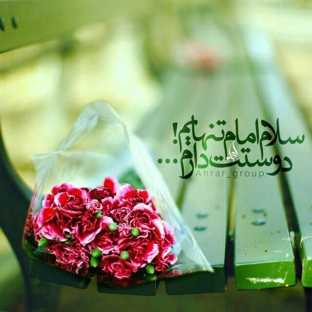 پرند فوری: #سلام_امام_زمانمدل آمده از غمت به جان ادرکنیجان آمده بر لب، الأمان ادرکنیترسم که بمیرم و نبینم رویتیا مهدی صاحبالزمان ا