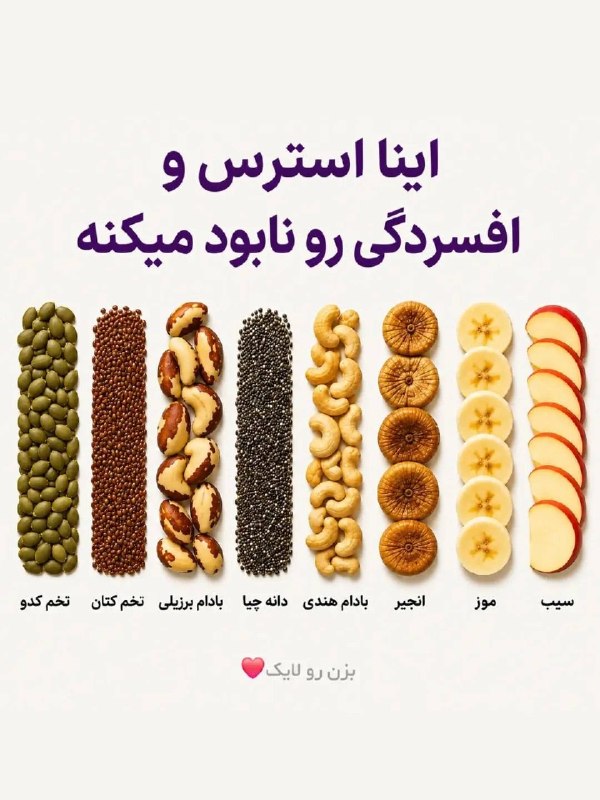 اخبار گیلان: ♦️منیزیم یکی از مواد معدنی مهمیه که بدن و مغز برای درست کار کردن بهش نیاز دارن...🔹 این ماده به عملکرد بهتر مغز، اعصاب و 