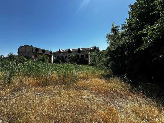 Участок 50 соток в Мирзо-улугбекском р-не (ИТ)