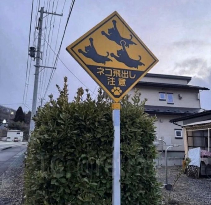 In some areas of Japan, they installed special signs that warn that cats may jump out suddenly.Did you know? 🎓