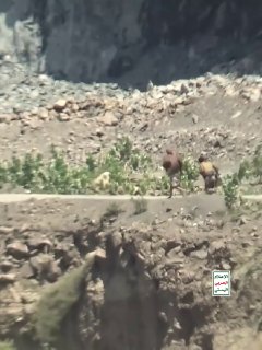 הרגע שבו נמלטו כוחות סעודיה מלוחמי הכוחות המזוינים תצפיות על חזיתות הערפל וההר השחור בטאיז - 28 באוקטובר 20…