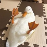 Гусь в кске (смотреть в плохом качестве без рекламы)