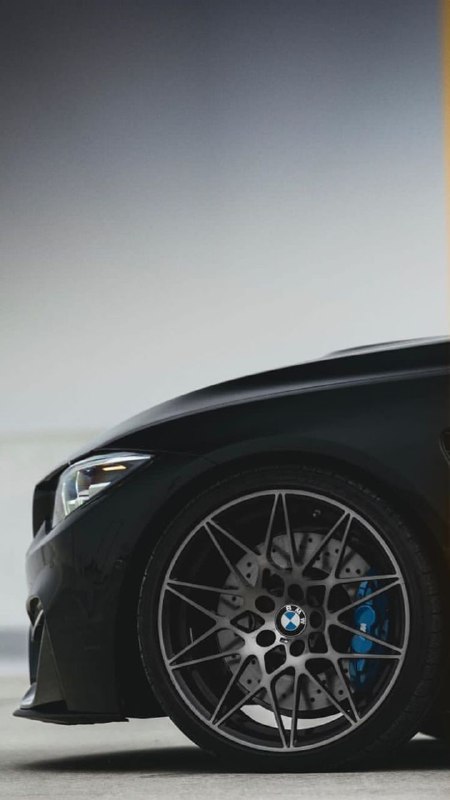 https://t.me/bmw_mpower_club