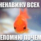 Жижа