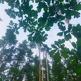 Марк Лурье. риэлтор-технолог