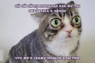 Сербский телеканал извинился за годы «однобокого освещения событий».Общественное телевидение Воеводины (RTV) извинилось перед зрителями за то, что накануне не показало празднование победы «Студенческого списка» на досрочных парламентских выборах в Сербии.В
