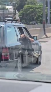 "Strange" scenes that you only see on the roads of Lebanon!