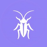 Humble Cockroach