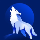 coytx.com ai