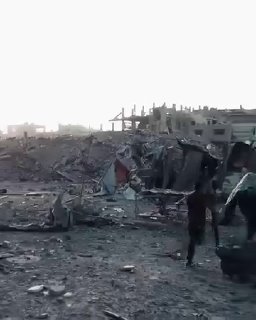 אתה רואה אריה צעיר ואתה מתעב אותו...ובבגדיו אריה כמו צור...