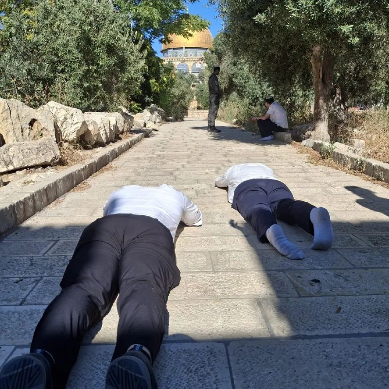מתנחלים עורכים טקסים תלמודיים הנקראים "השתטחות אפית" באזור המסדרון המזרחי של מסגד אל-אקצא המבורך, בחסות משט…